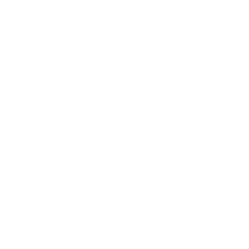 Experience Icon